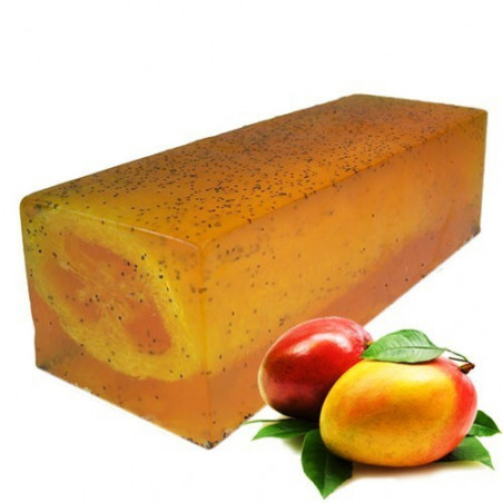 Handgemachte Luffaseife - Mango