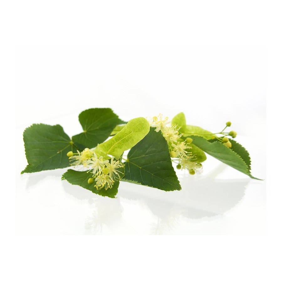 Aromatherapie Seife Teebaum