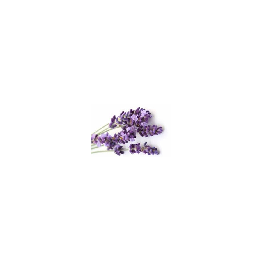 Seife  mit Lavendel